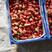 邳州港上万亩草莓基地产地直发，量大从优，诚信经营可视频看货