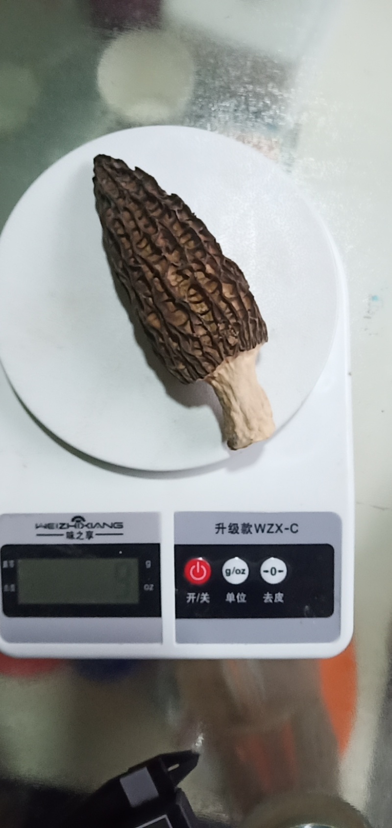 8910公分羊肚菌（鲜货干货）