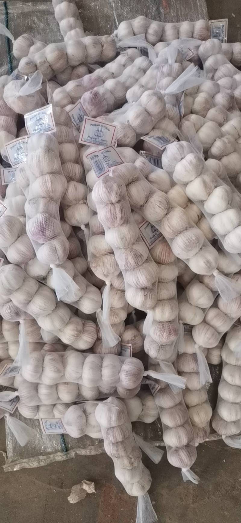 金乡大蒜5.5---6.0加工中，按客户需求加工，出口