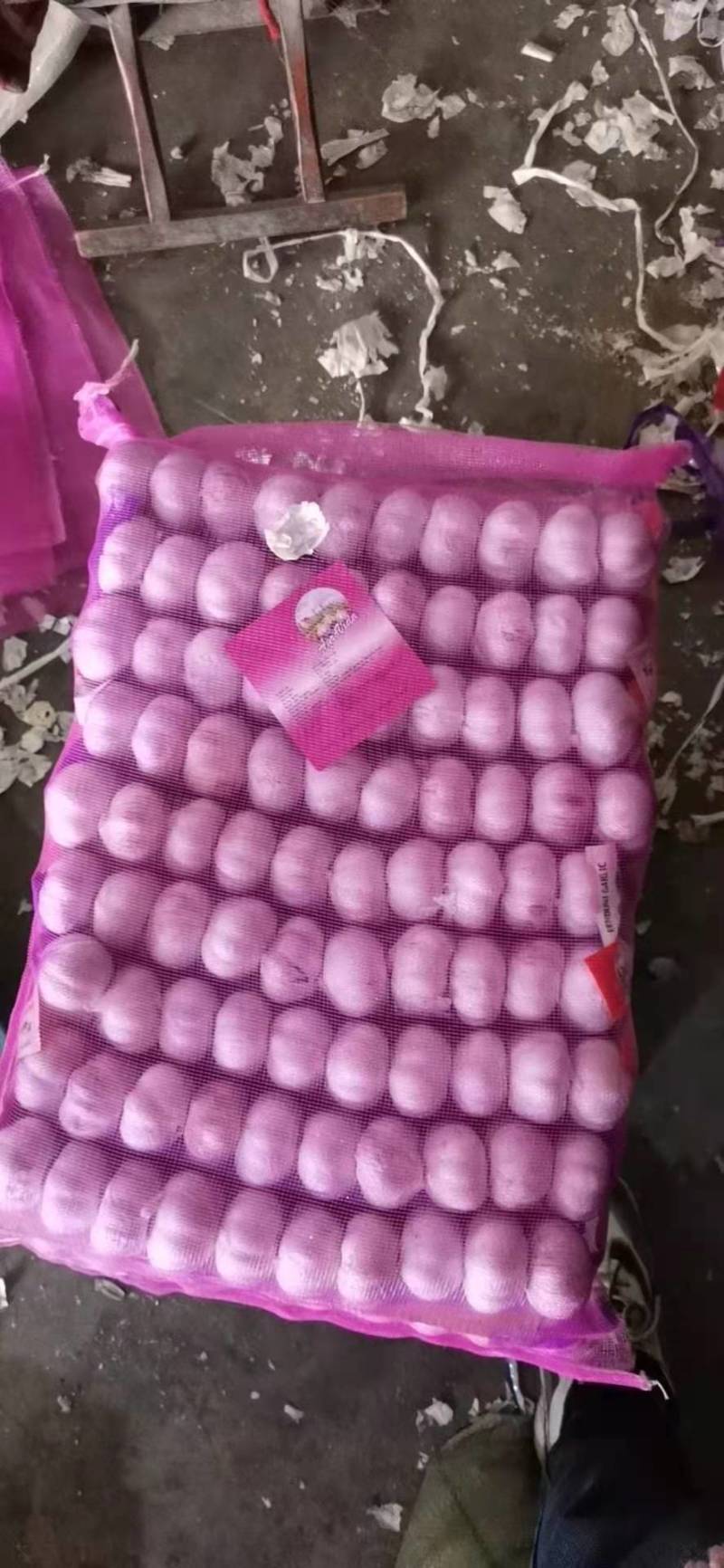金乡大蒜5.5---6.0加工中，按客户需求加工，出口