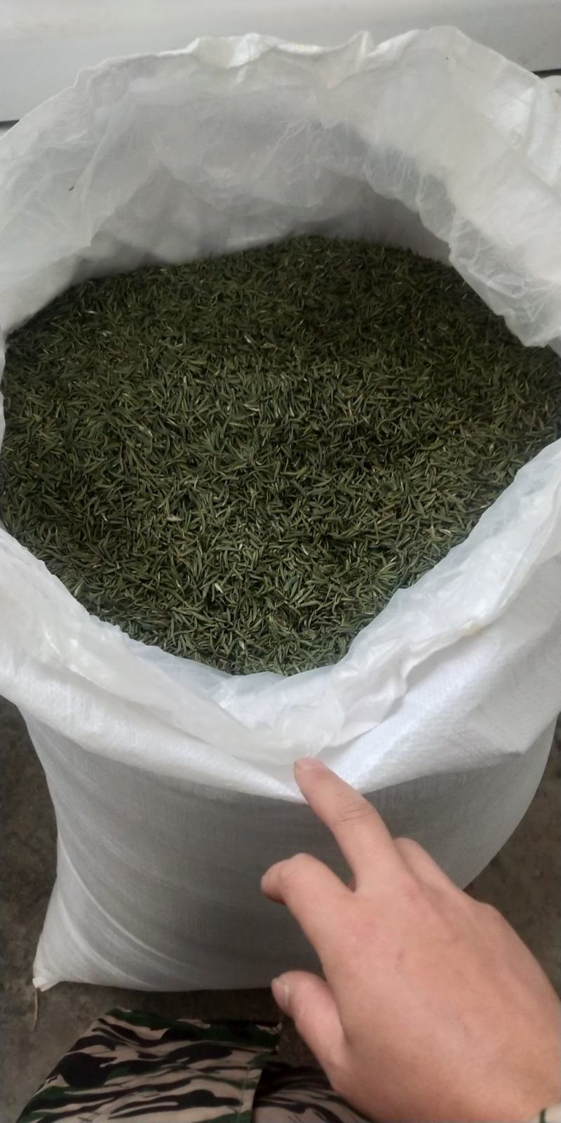 恩施富硒绿茶，特级头采贡芽，#2021头采上新