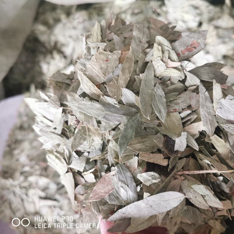 番泻叶包邮干货批发零售产地批发常年供应