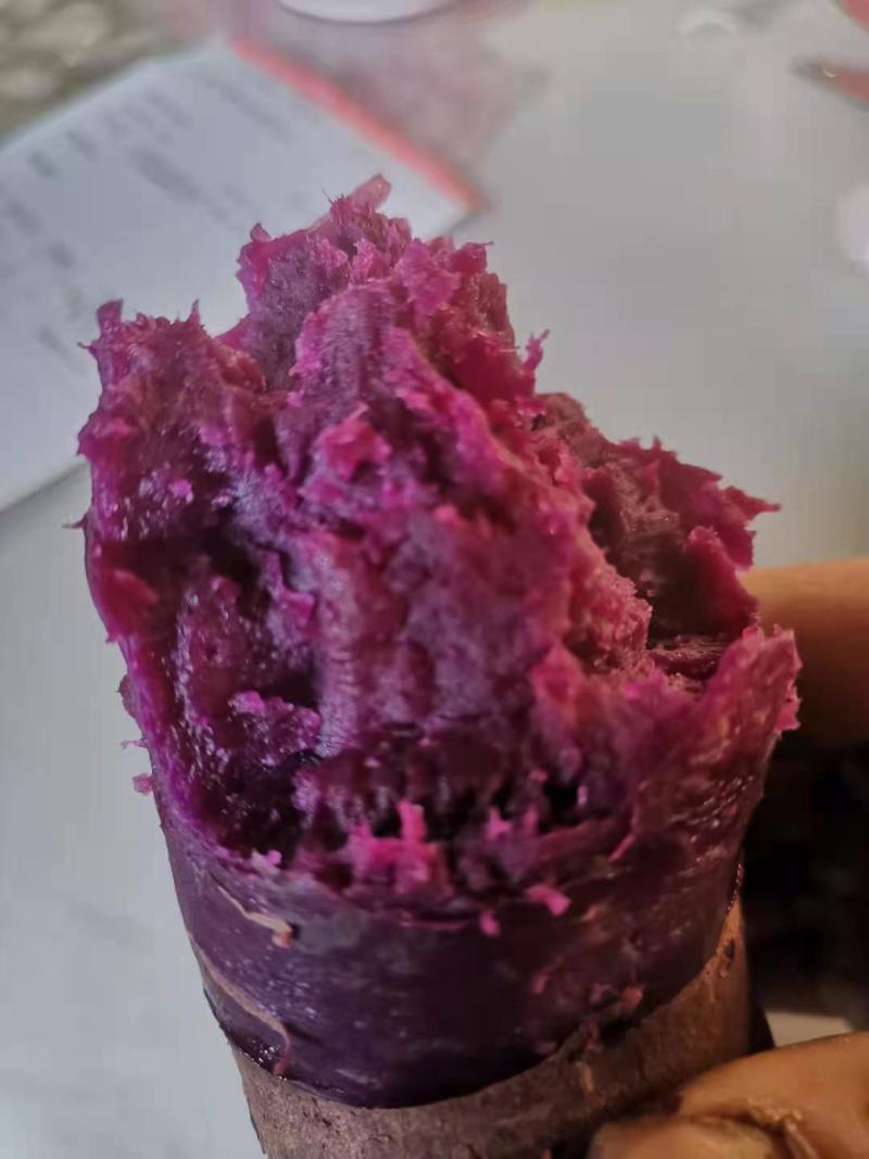 紫薯苗，新品种紫薯苗，好吃紫沙蜜苗，高产紫薯苗