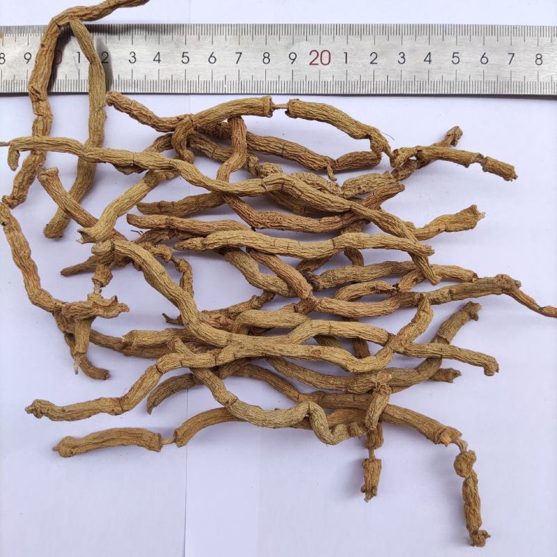巴戟天批发三级头巴戟天货源稳定全年供货