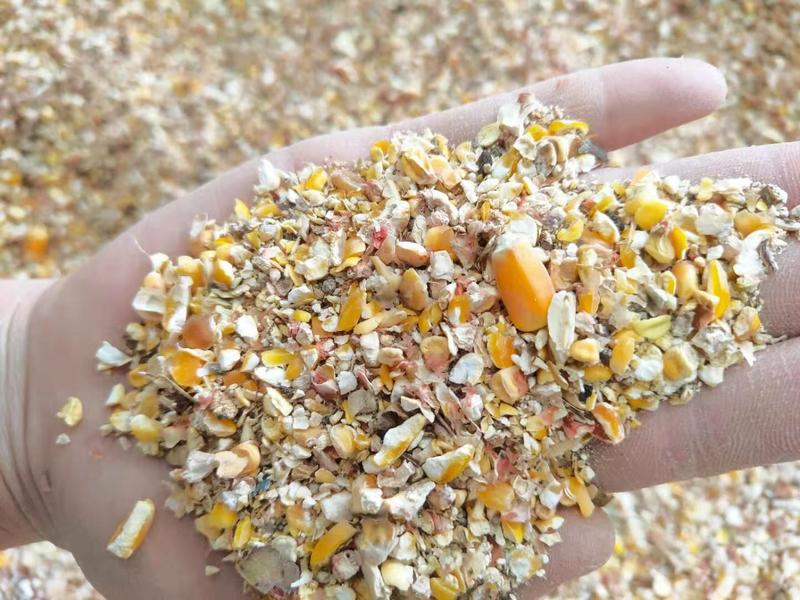 碎玉米养殖神器降低养殖成本质量保证