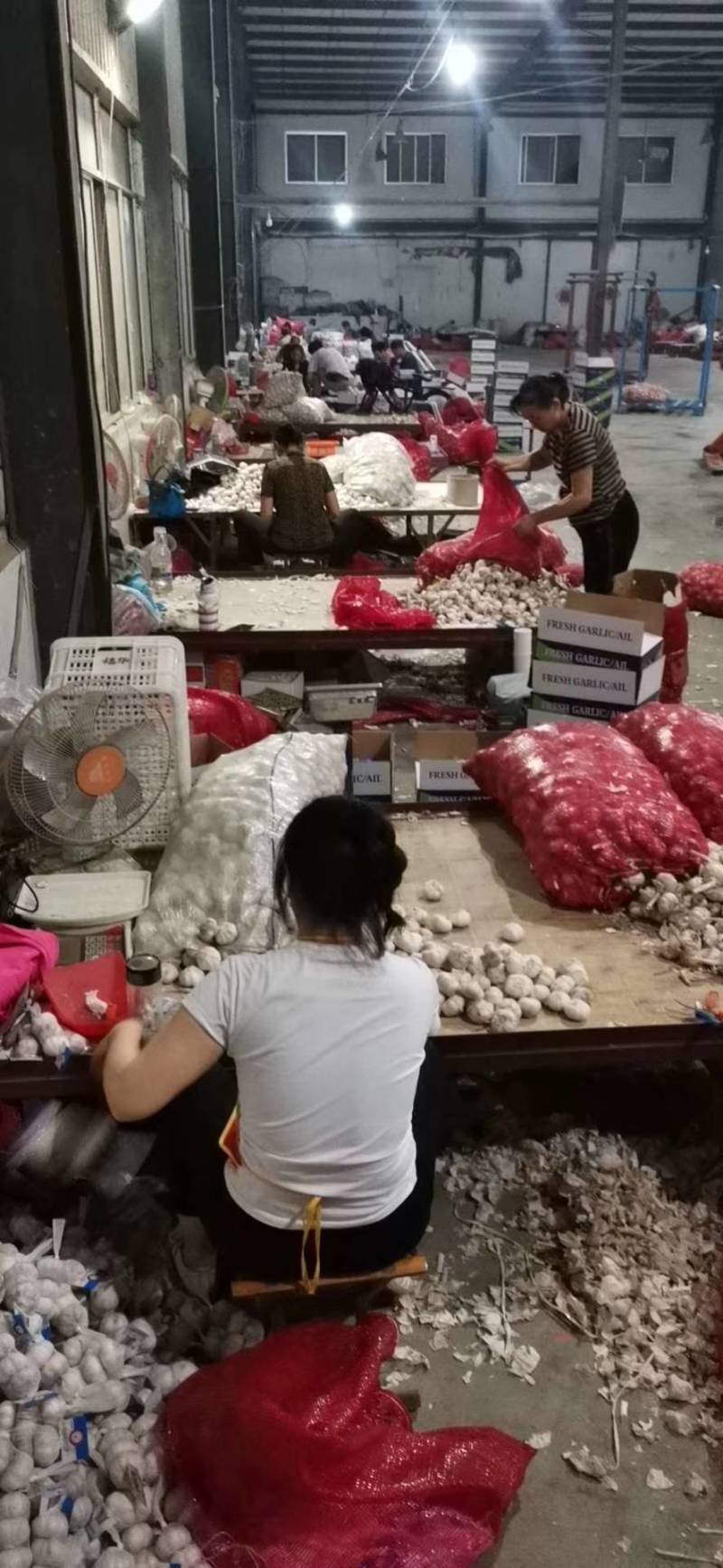 山东金乡本地大蒜加工，一手货源，发全国市场，出口均可