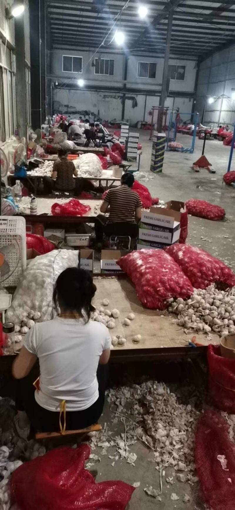 山东金乡本地大蒜加工，一手货源，发全国市场，出口均可