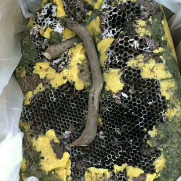 岩蜂蜜，跑江湖，地摊产品，颜色可以定做地摊火爆