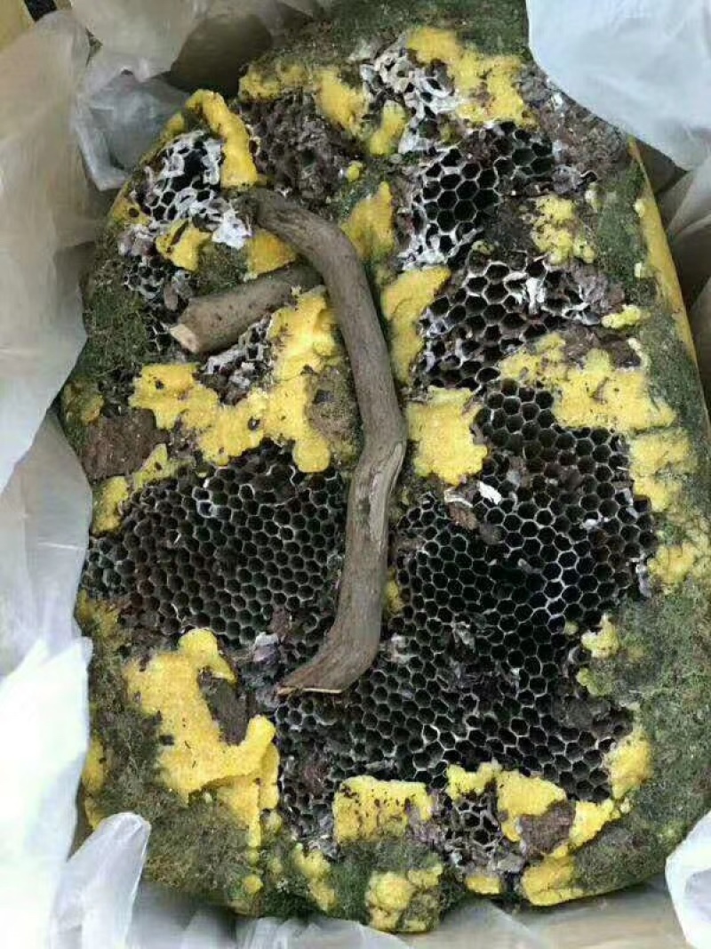 岩蜂蜜，跑江湖，地摊产品，颜色可以定做地摊火爆