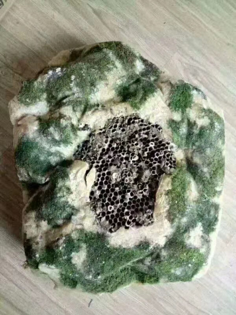 岩蜂蜜，跑江湖，地摊产品，颜色可以定做地摊火爆