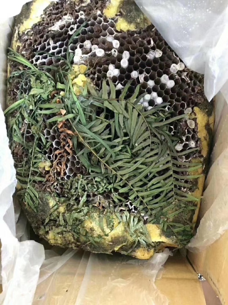 岩蜂蜜，跑江湖，地摊产品，颜色可以定做地摊火爆