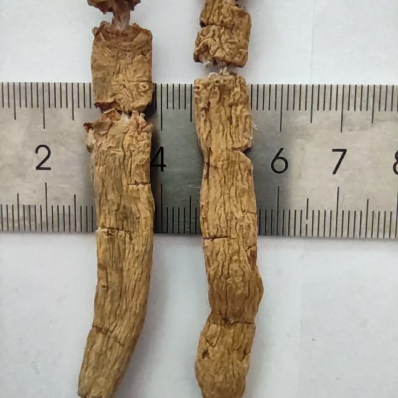 带芯干货扁巴戟天三级压扁巴戟天全程太阳晒干