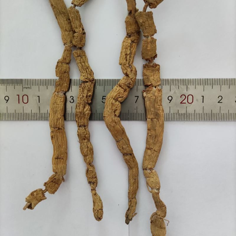 带芯干货扁巴戟天三级压扁巴戟天全程太阳晒干