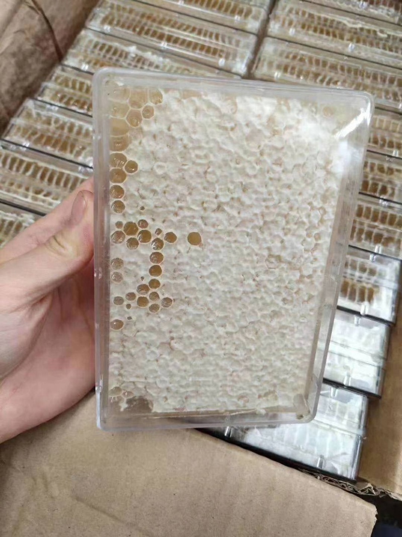 巢蜂蜜，真宗巢蜂蜜，地摊产品，现货供应地摊火爆产品