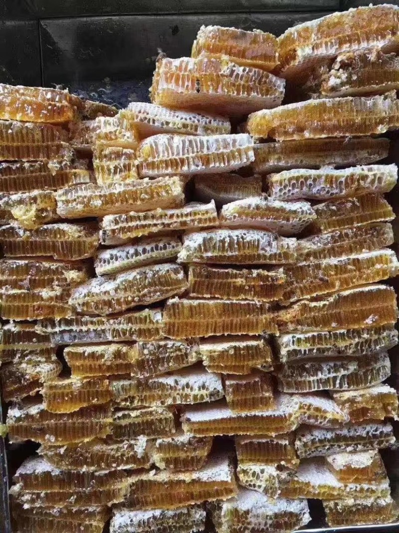 巢蜂蜜，真宗巢蜂蜜，地摊产品，现货供应地摊火爆产品