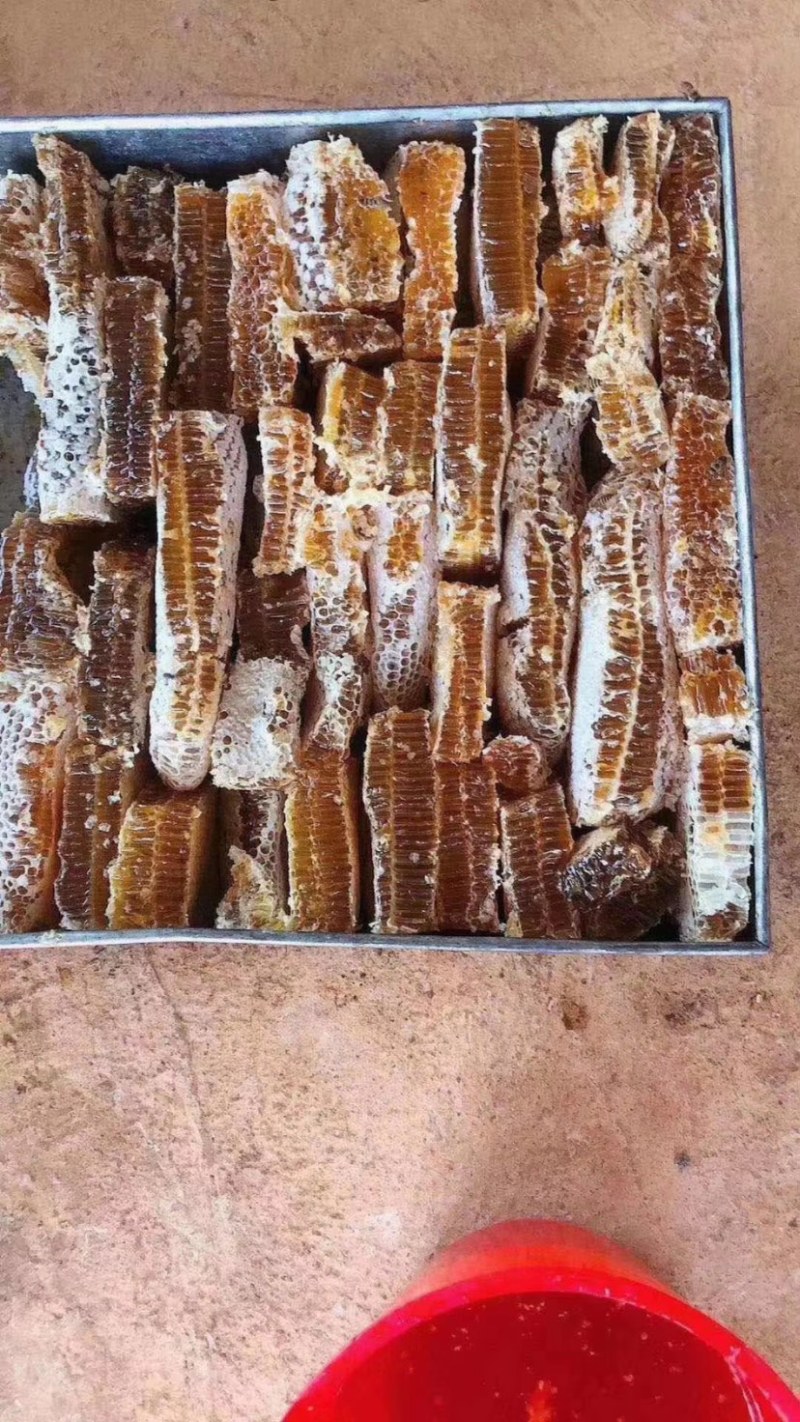 巢蜂蜜，真宗巢蜂蜜，地摊产品，现货供应地摊火爆产品