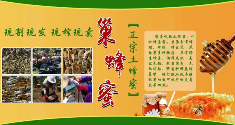 巢蜂蜜，真宗巢蜂蜜，地摊产品，现货供应地摊火爆产品