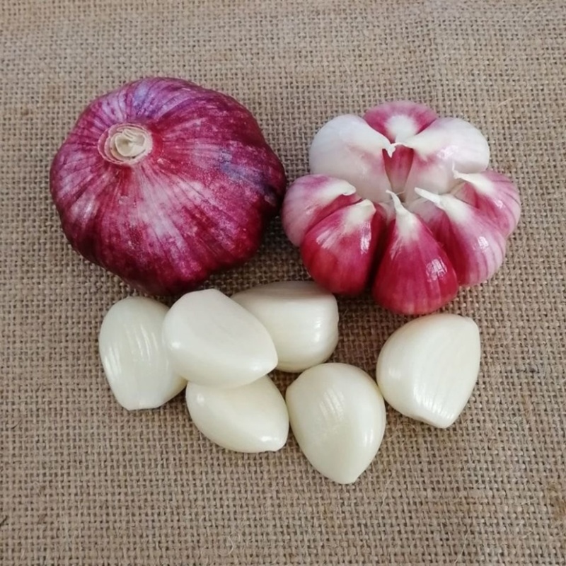 云南新鲜大蒜3斤5斤9斤湿蒜多瓣蒜紫皮支持一件代发