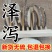 中药材正品四川彭州泽泻片不包邮需求泽泻粒联系店主