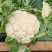 优质花菜，花色乳白，平均2~3斤，诚信合作，代发全国