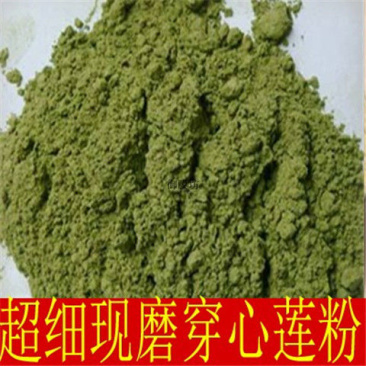 中药纯穿心莲粉川心莲粉穿心莲散装正品包邮初级农产品