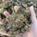 羊粪有机肥牛粪有机肥鸡粪有机肥发酵牛粪菌肥有机质45%个