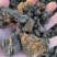 羊粪有机肥牛粪有机肥鸡粪有机肥发酵牛粪菌肥有机质45%个
