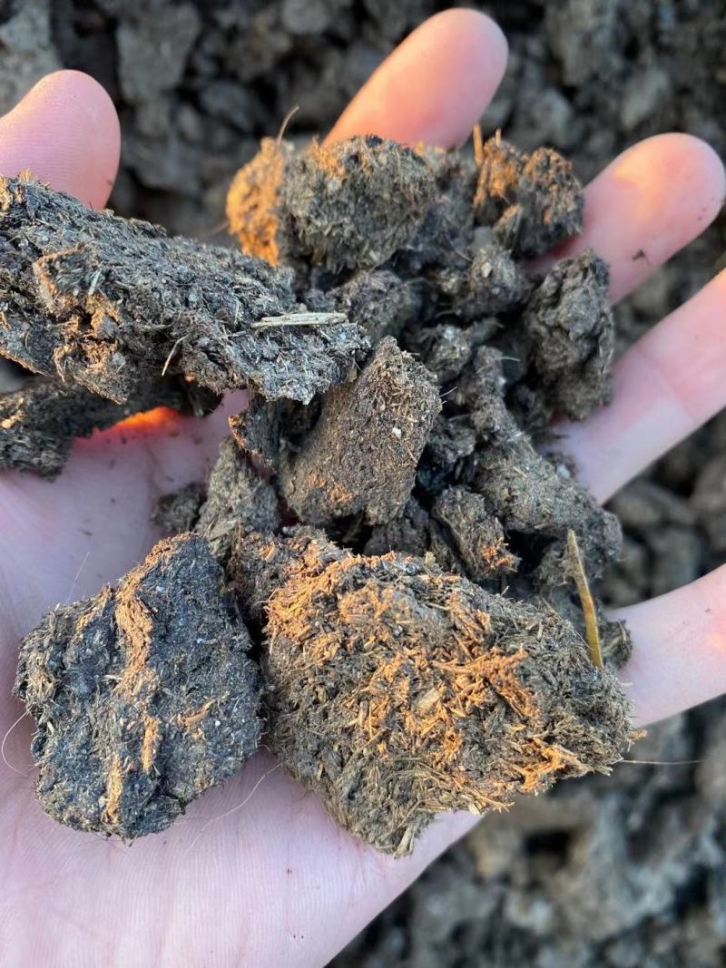 羊粪有机肥牛粪有机肥鸡粪有机肥发酵牛粪菌肥有机质45%个