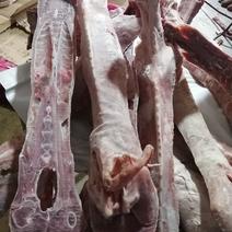 羊蝎子羊脊骨满肉羊蝎子整根，可锯断，11一斤可发样品