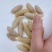 土蜂蛹3级，带内脏，虎头蜂蛹，熟冻，广州发货