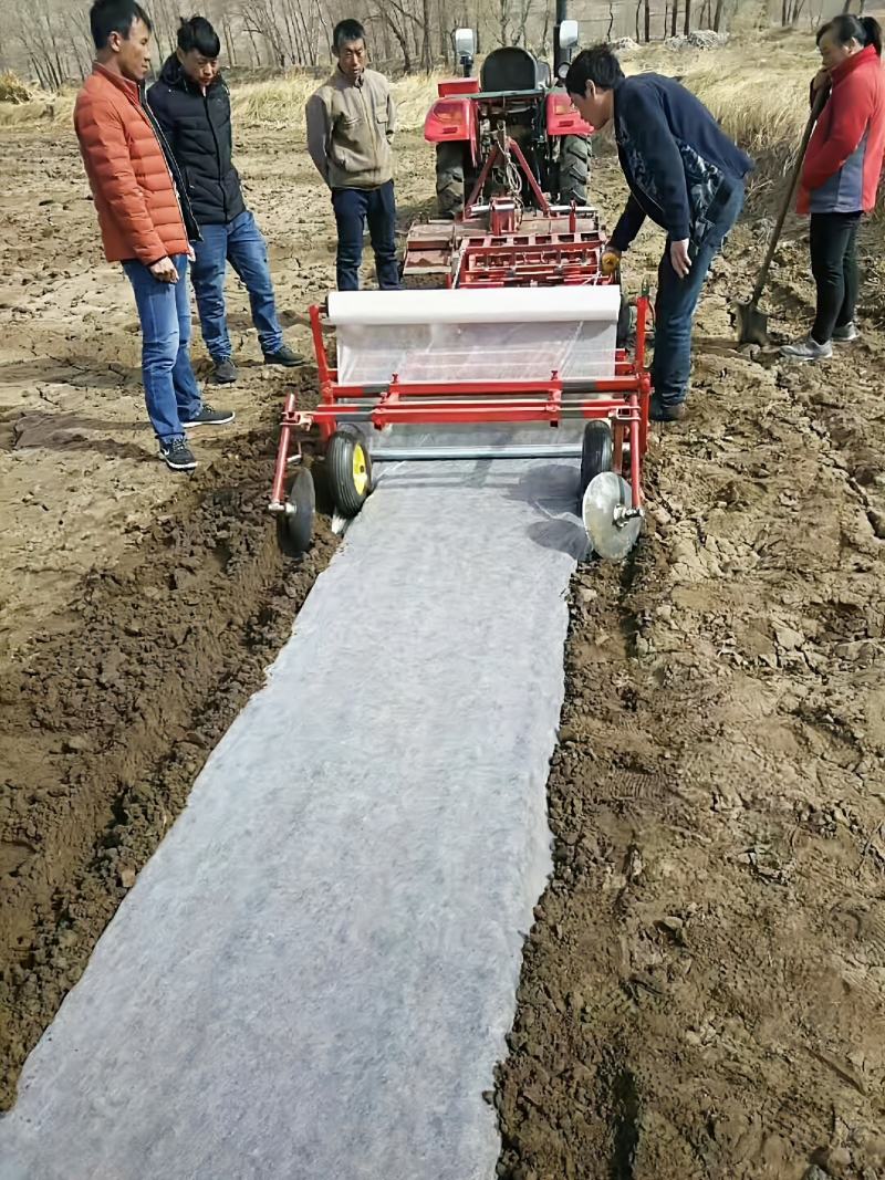 农用防寒保温无纺布果蔬瓜菜苗木药材防寒防霜保温无纺布育苗