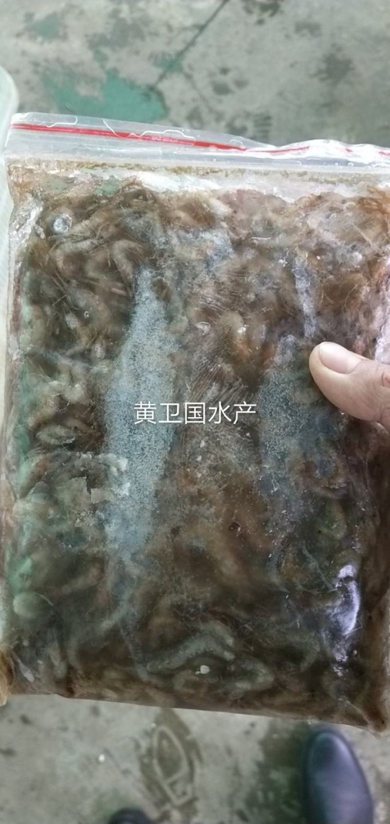 草虾河虾:一手货源产地湖北潜江市，黄卫国水产，全国发货。