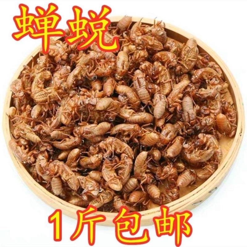 蝉蜕中药材蝉衣蝉蜕知了皮蝉壳爬了猴壳金蝉衣500克特价