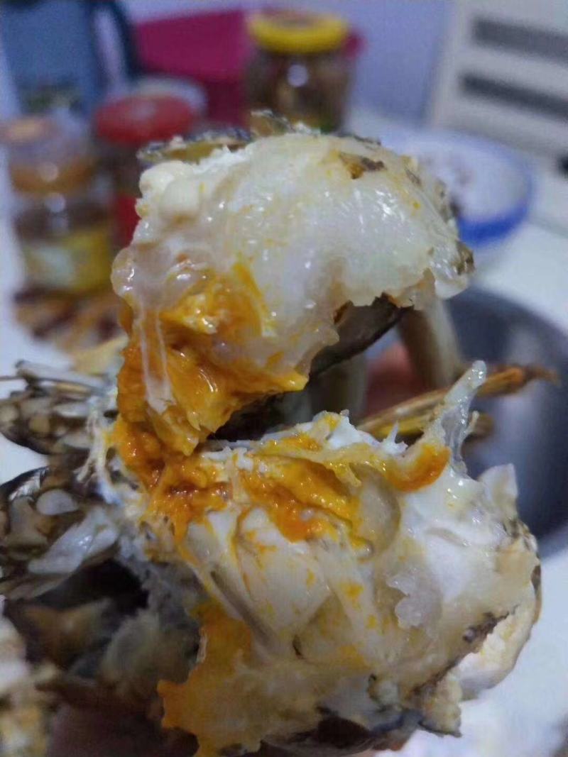 盘锦河蟹.大闸蟹老头蟹，公蟹-母蟹.规格齐全.自助餐专用