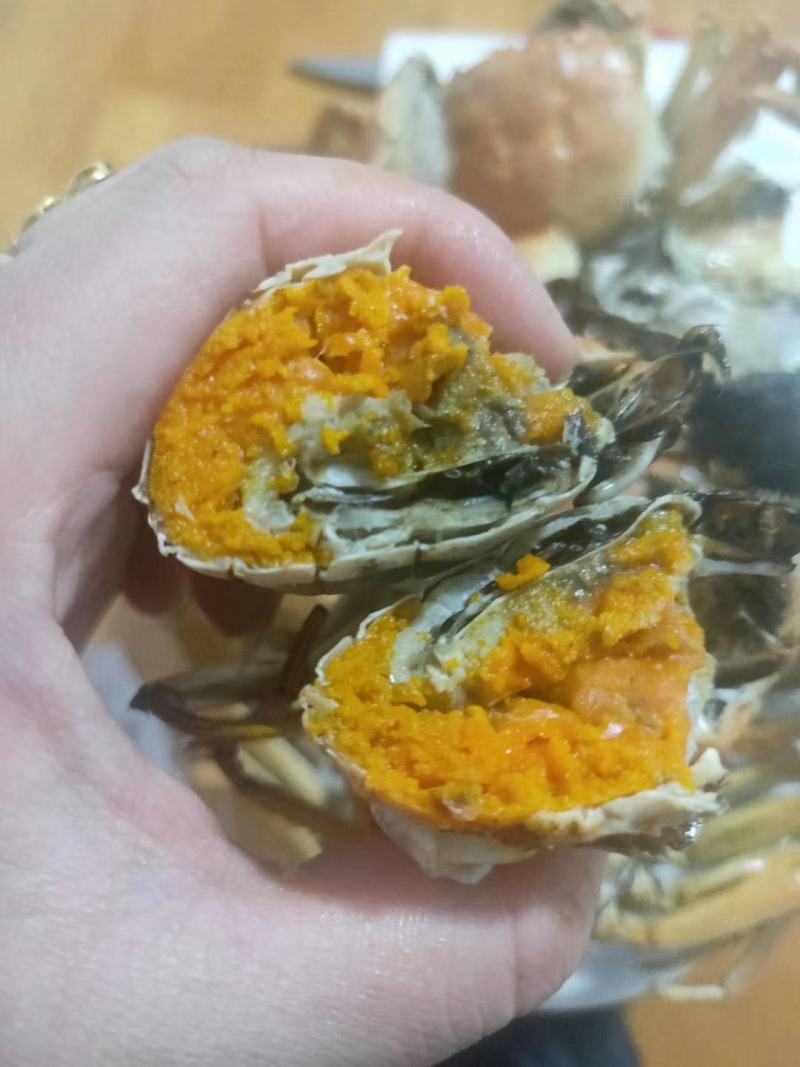 盘锦螃蟹稻田河蟹大闸蟹老头蟹，六月黄，一元蟹一件代发。