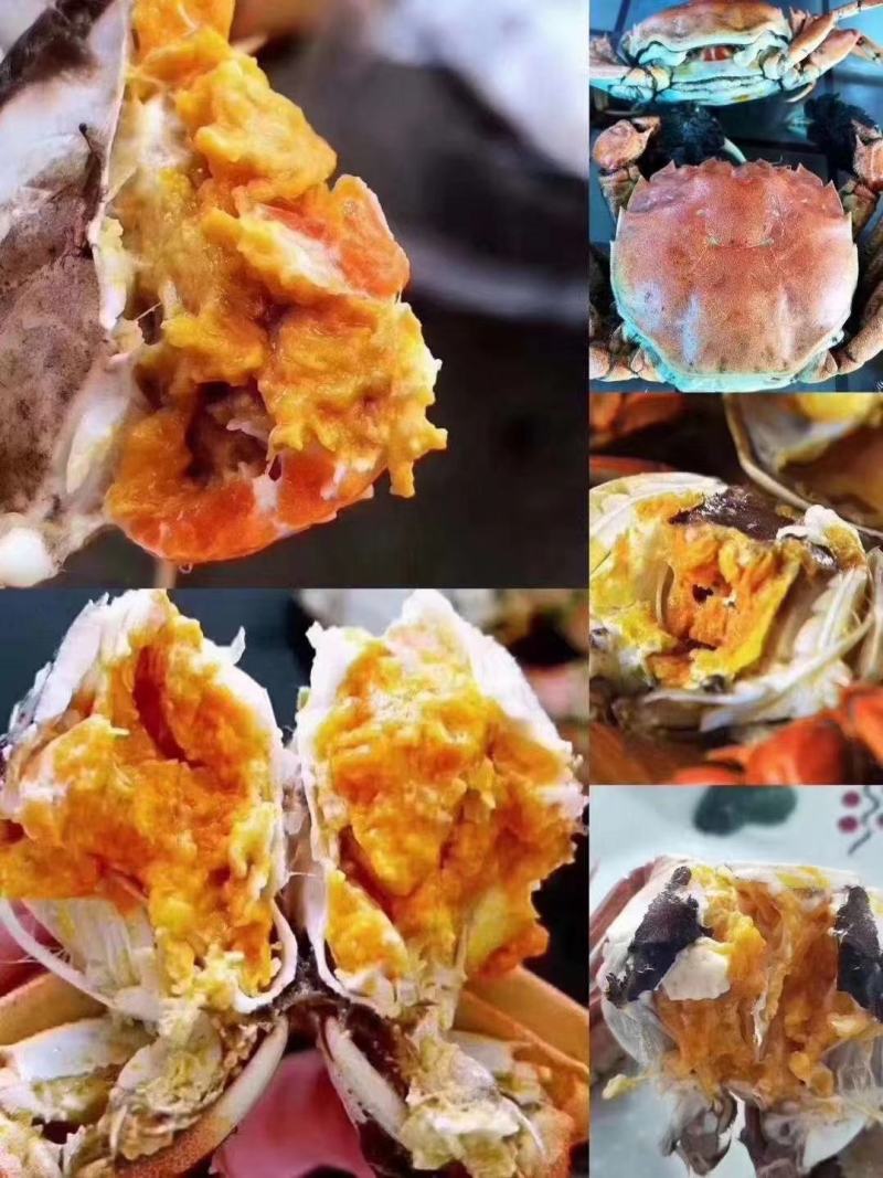 盘锦河蟹.稻田小蟹，老头蟹，一元蟹，毛母毛公自助餐饭店.