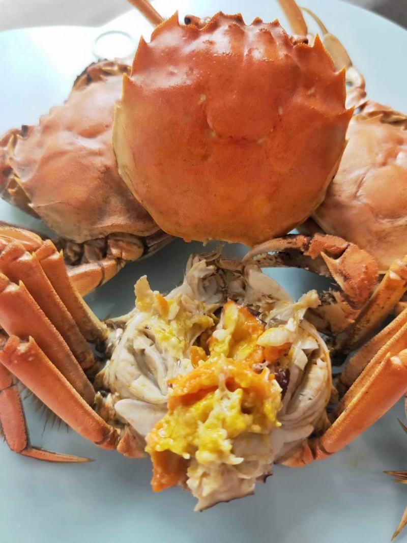 盘锦河蟹.稻田小蟹，老头蟹，一元蟹，毛母毛公自助餐饭店.