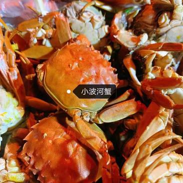 螃蟹大闸蟹黄蟹稻田蟹，老头蟹一元蟹，耐活，规格全量大优惠