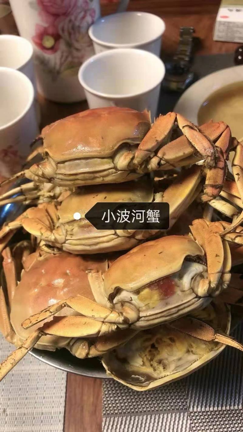 螃蟹大闸蟹盘锦稻田蟹，老头蟹一元蟹，耐活，规格全量大优惠