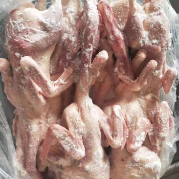 白条鸭板鸭残鸭切块鸭大量供应手续齐全欢迎合作