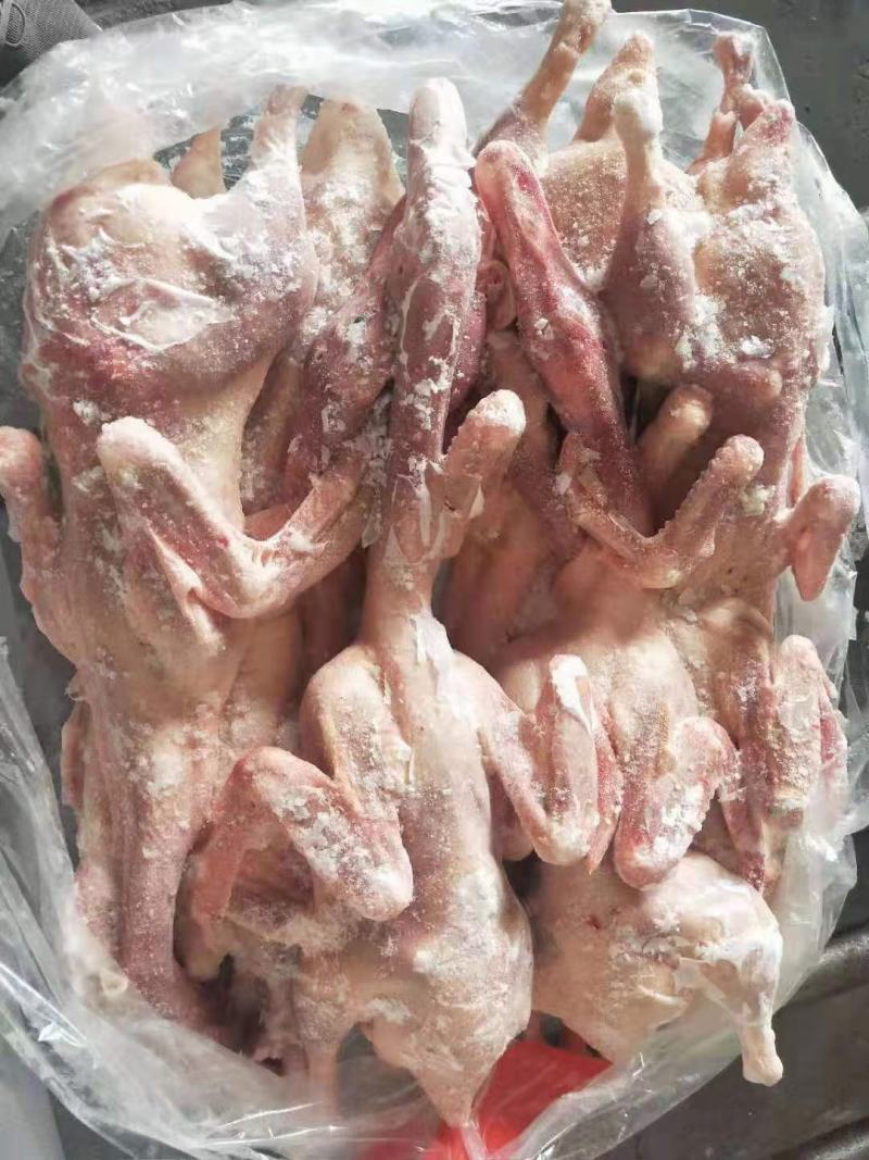 白条鸭板鸭残鸭切块鸭大量供应手续齐全欢迎合作