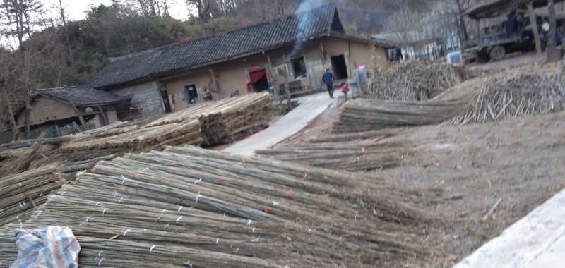 菜架竹，实心木竹经久耐用，产地直销一手货源.各种规格都有