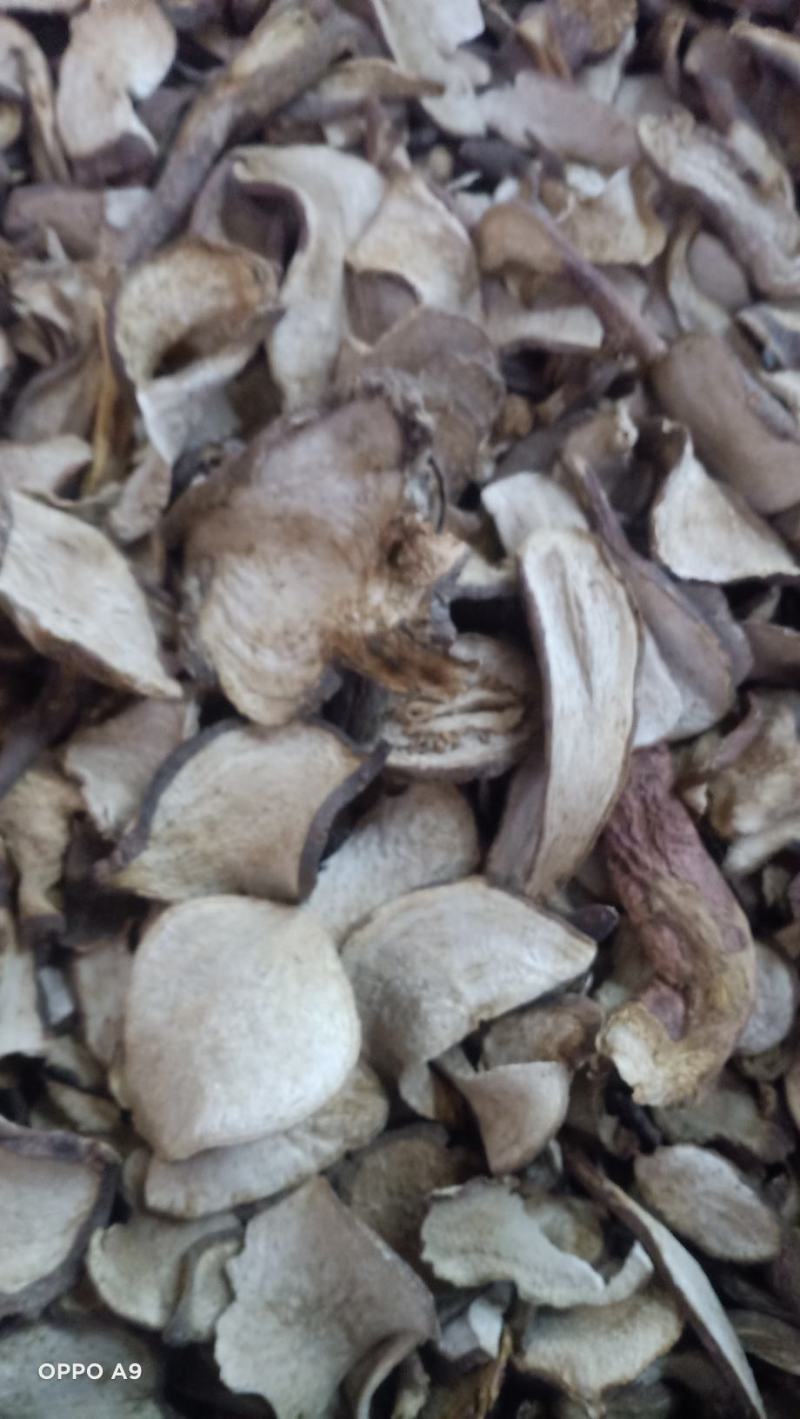 山土瓜云南药材主营茯苓寄生有大货