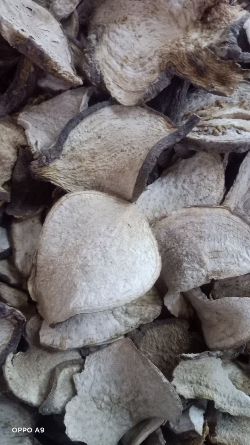 山土瓜云南药材主营茯苓寄生有大货