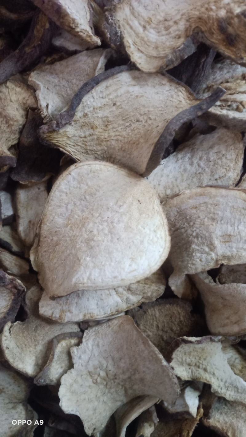 山土瓜云南药材主营茯苓寄生有大货