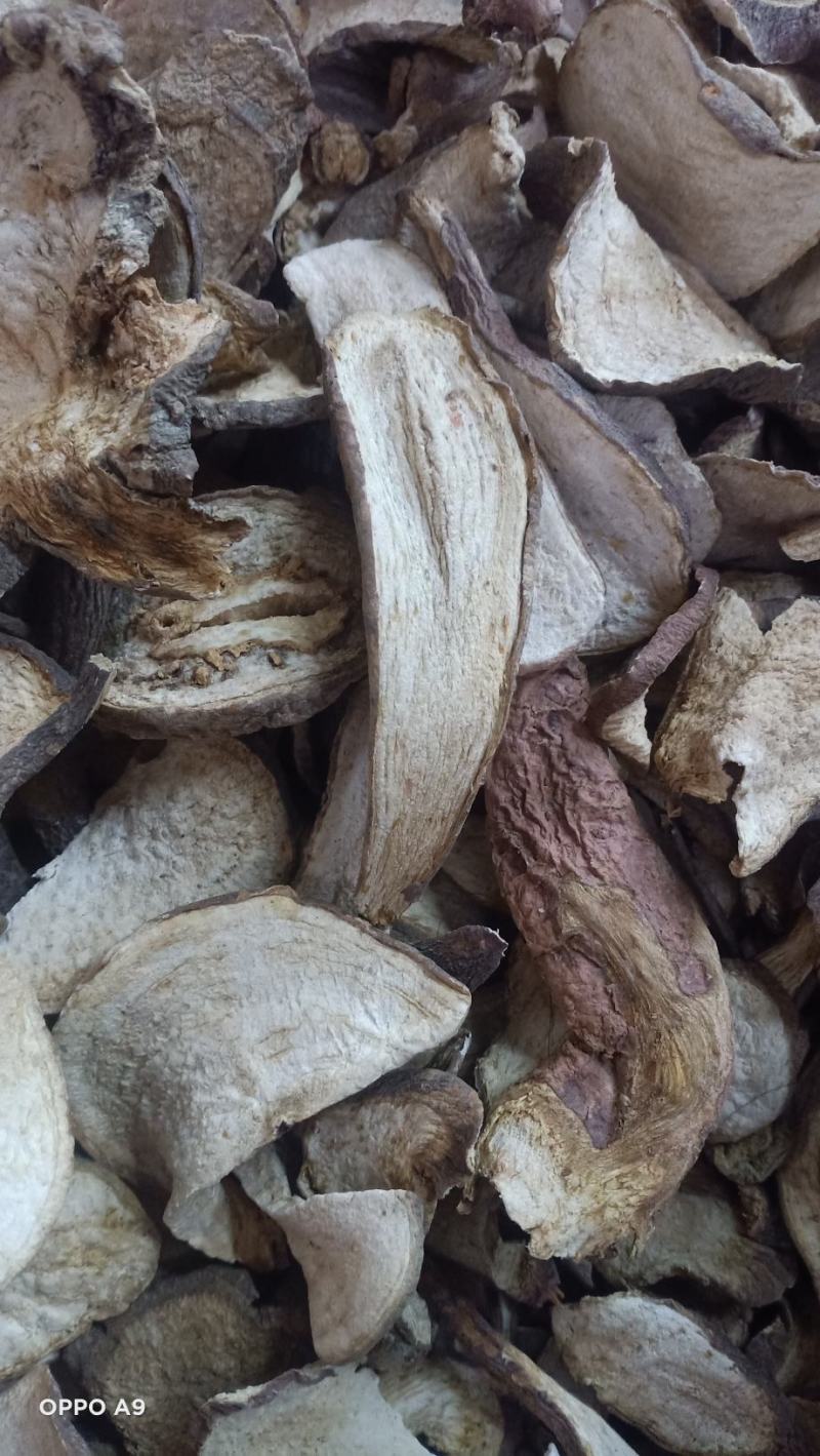 山土瓜云南药材主营茯苓寄生有大货