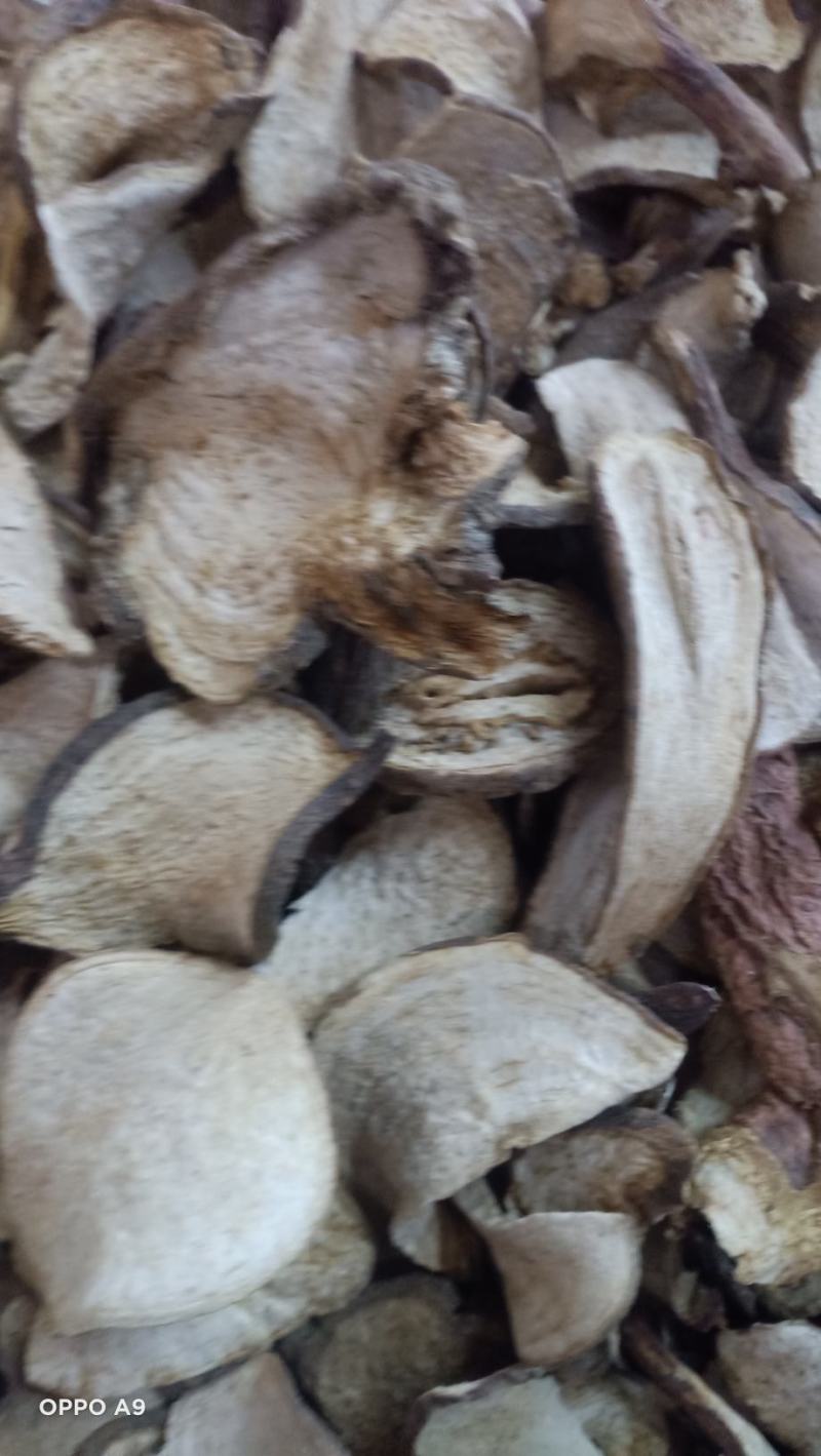 山土瓜云南药材主营茯苓寄生有大货