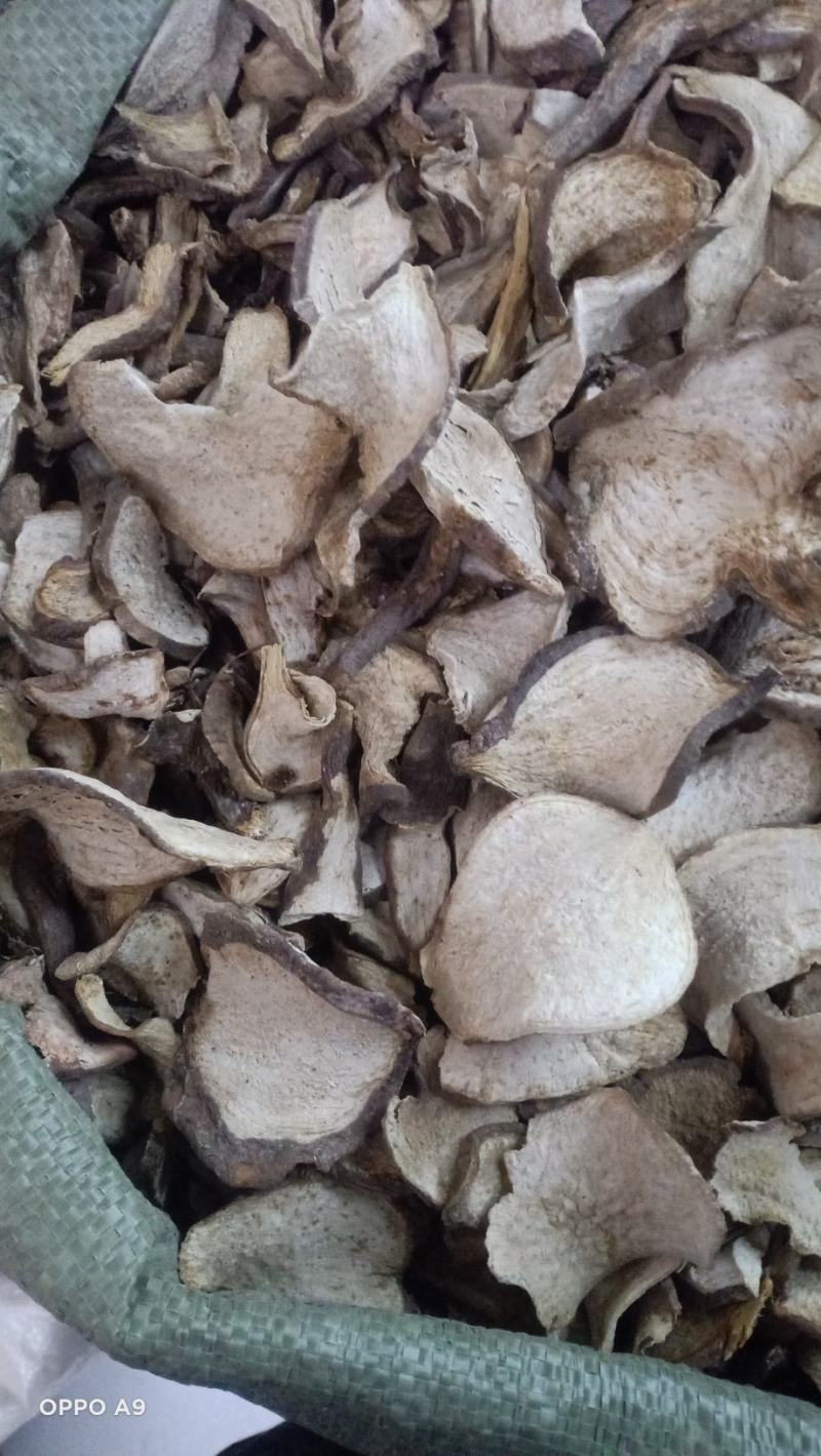 山土瓜云南药材主营茯苓寄生有大货