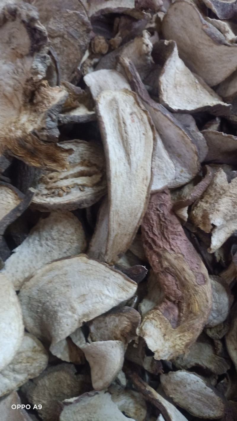 山土瓜云南药材主营茯苓寄生有大货