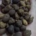 万丈参木贼子云南药材主营，品种齐全欢迎合作